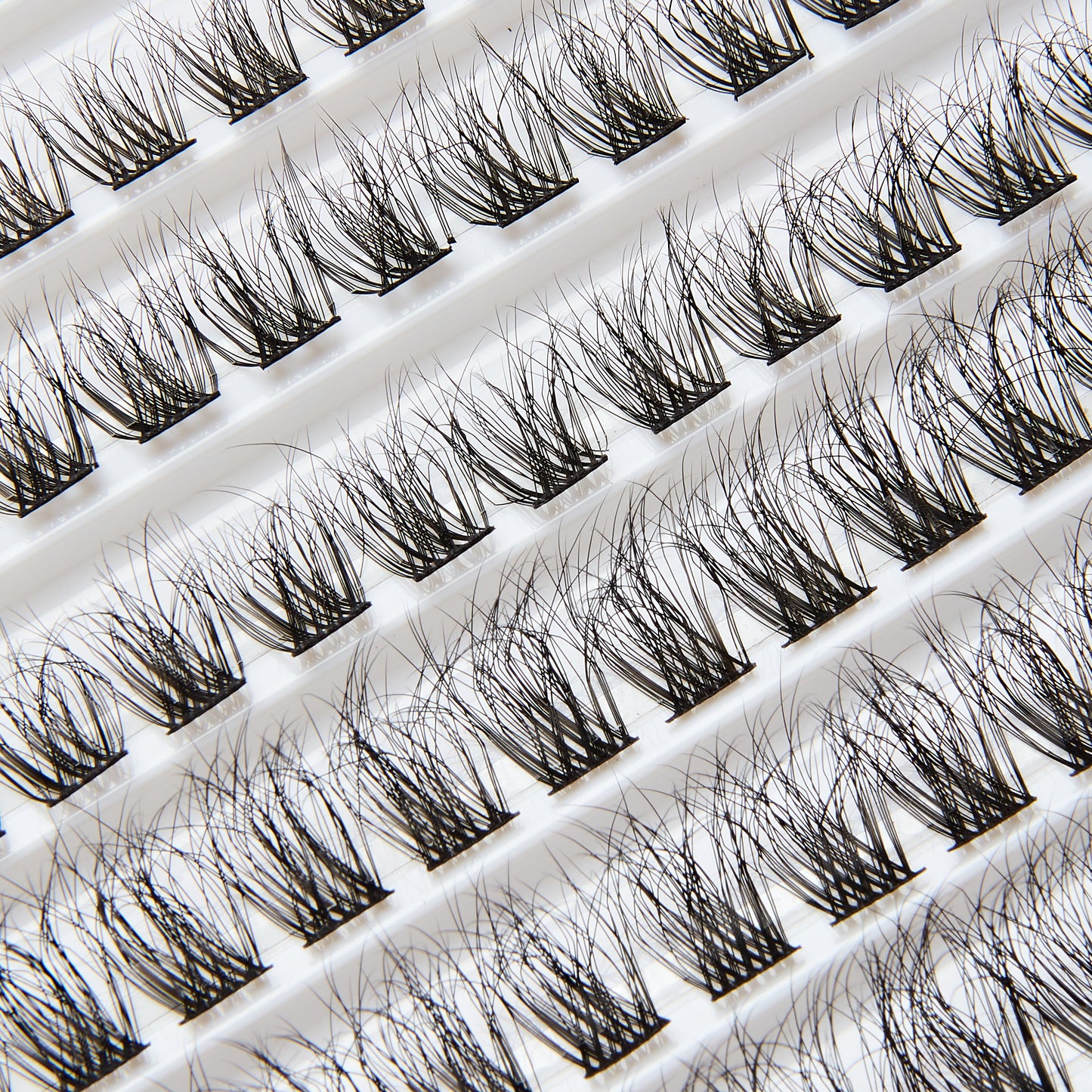 Boujee XL Cluster Lash Vault Pearl (NATURAL)